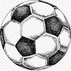RC11 Sport & Business Consulting